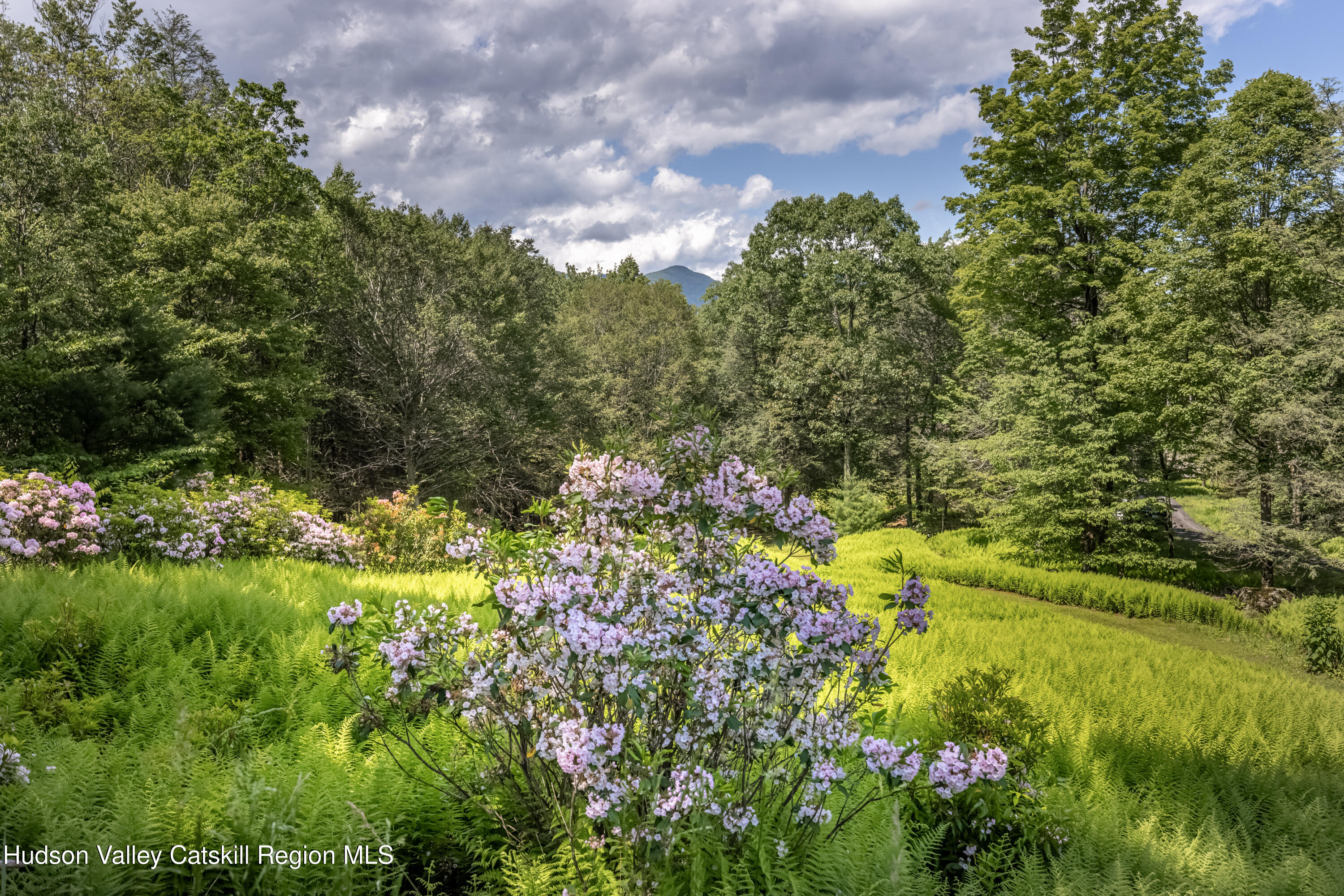 128 Newcut Road Woodstock, NY 12498 - Photo 32 of 51 a view of a garden with plants and a fountain