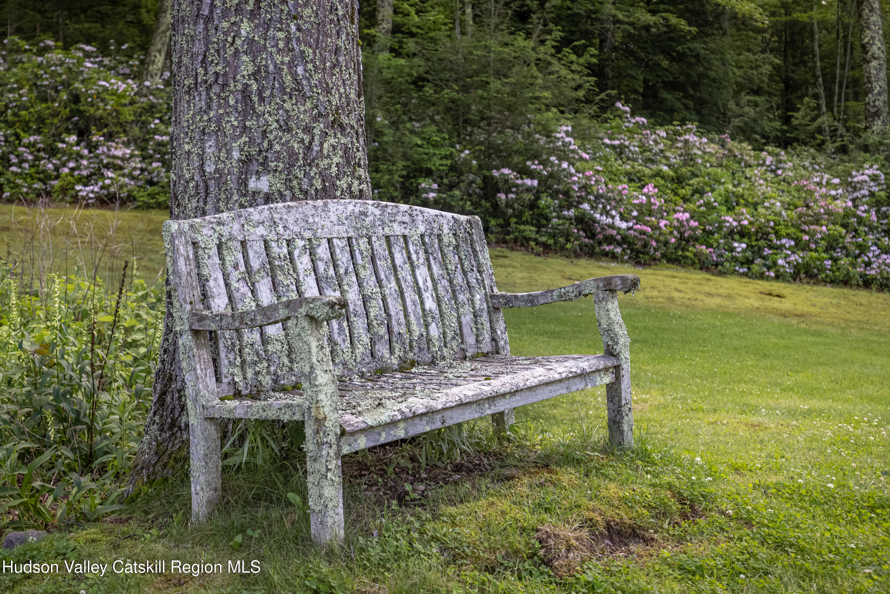 128 Newcut Road Woodstock, NY 12498 - Photo 33 of 51 a view of a wooden bench sitting in the middle of a yard