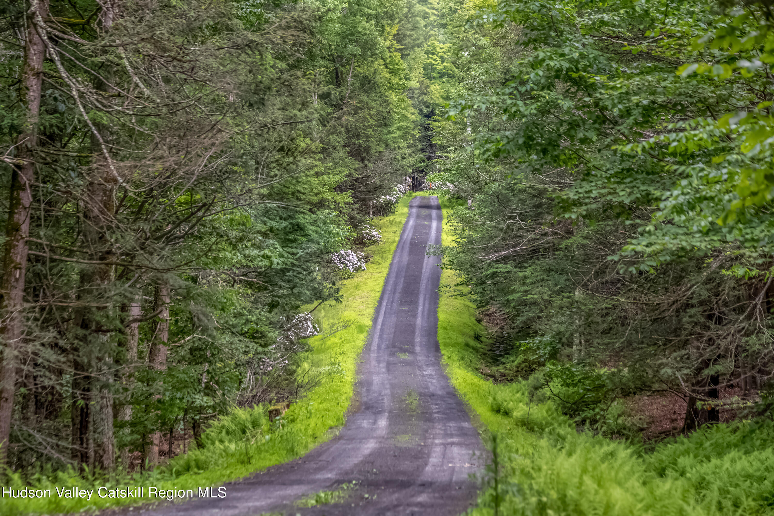 128 Newcut Road Woodstock, NY 12498 - Photo 49 of 51 a view of an outdoor space with a lake view