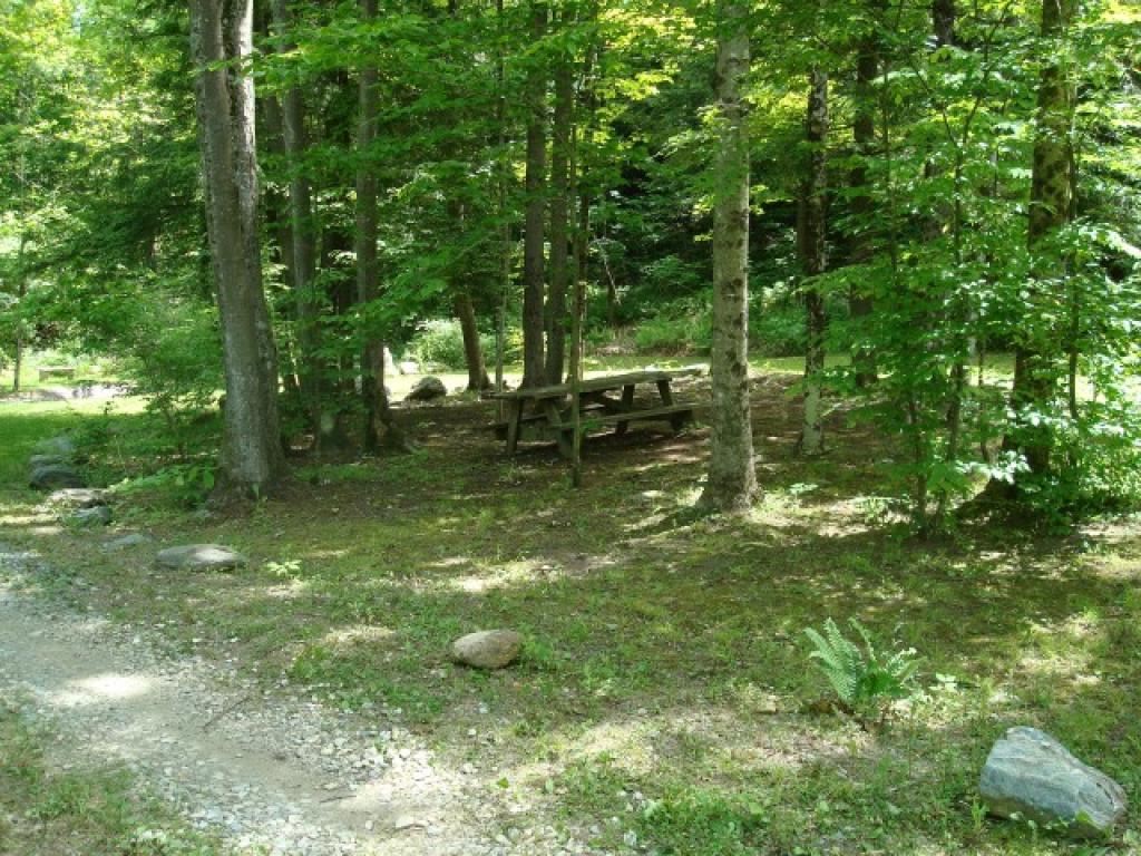 263 Desna Lane Castleton, VT 05735 - Photo 32 of 36