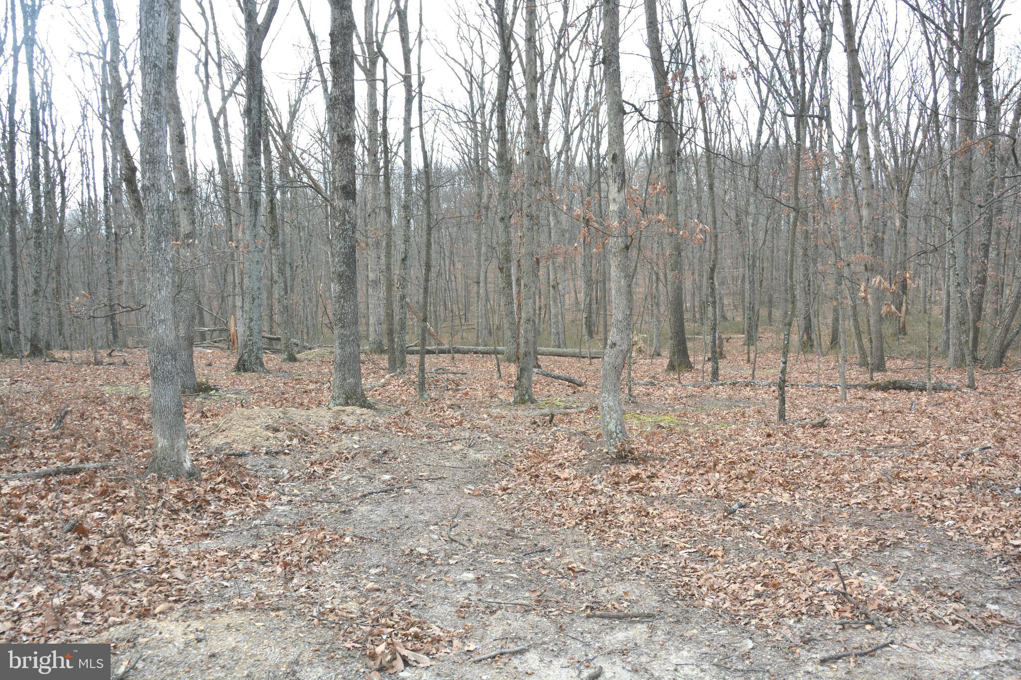 North Timber Ridge Road Cross Junction, VA 22625 - Photo 1 of 9 7.11 Acre lot lays very nicely. Private setting.