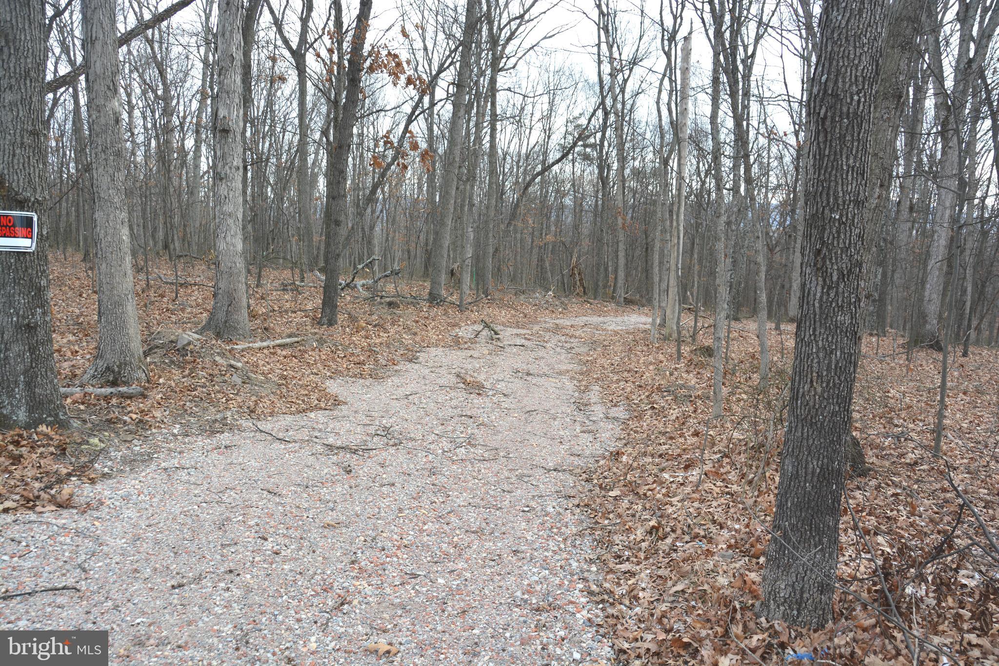 North Timber Ridge Road Cross Junction, VA 22625 - Photo 3 of 9 Meandering path to a great homesite.
