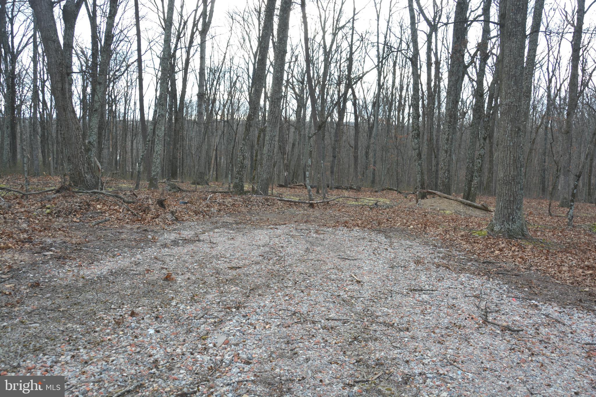 North Timber Ridge Road Cross Junction, VA 22625 - Photo 4 of 9 Largest of 4 lots available.