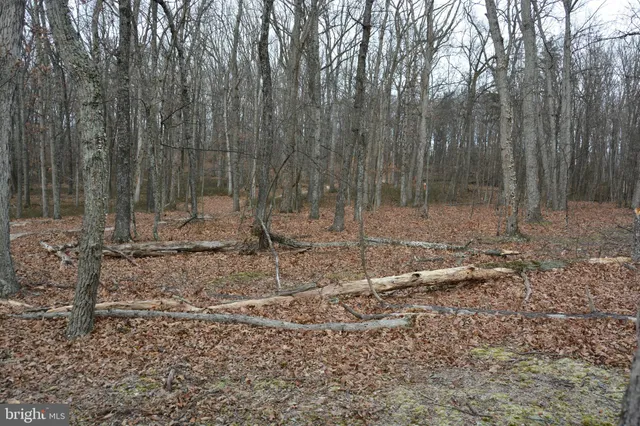 $139,900 | North Timber Ridge Road, Cross Junction, VA 22625