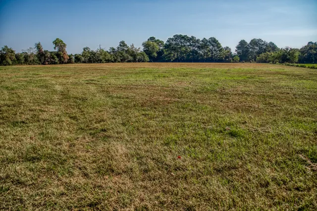 a view of an ocean from a yard