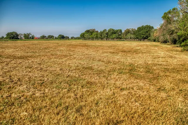 a front view of a house with a yard and potted plants