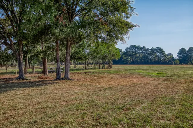 a view of a yard with a tree