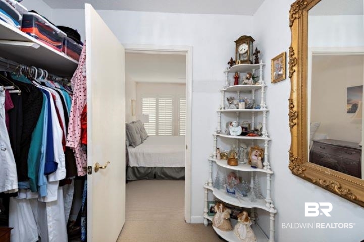 710 South Mobile Street, Unit 52 Fairhope, AL 36532 - Photo 22 of 58 Walk in closet featuring carpet floors