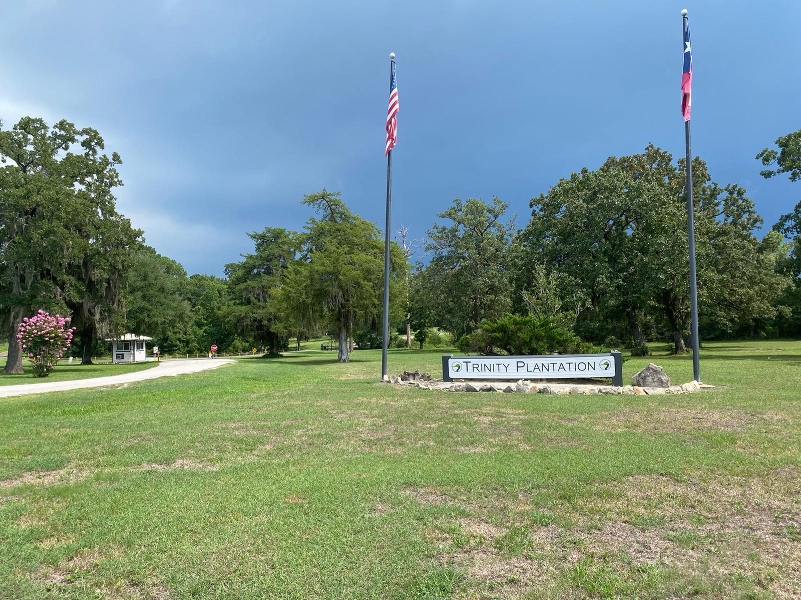 Lot 7 Monticello Street Trinity, TX 75862 - Photo 11 of 12 a view of a green field with trees in the background