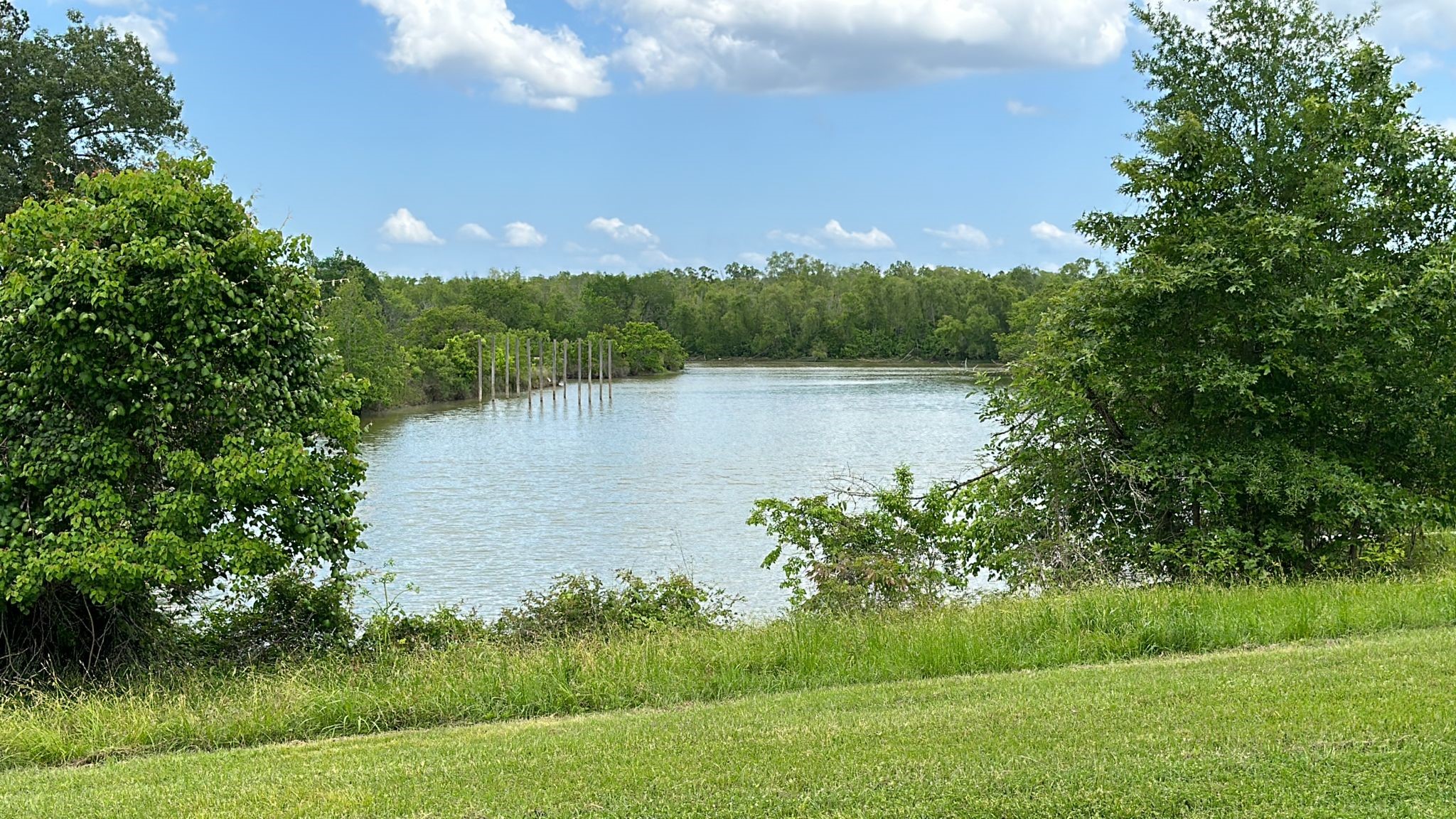 Lot 7 Monticello Street Trinity, TX 75862 - Photo 6 of 12 a view of a lake with a house in the background