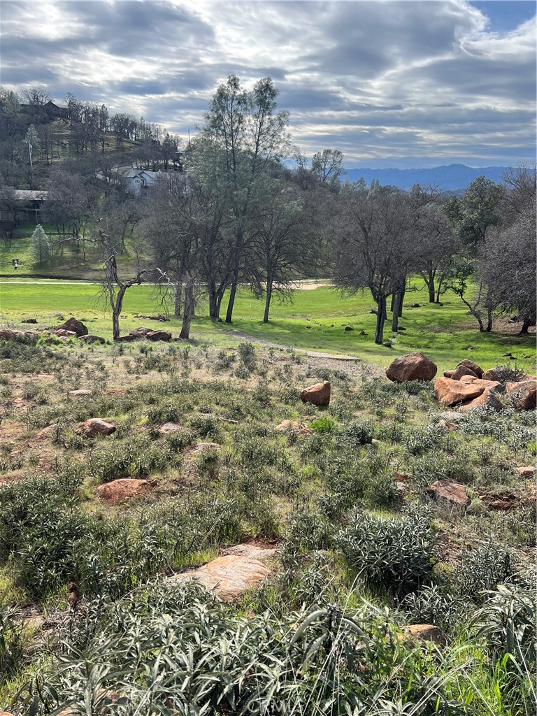20073 Powder Horn Road Hidden Valley Lake, CA 95467 - Photo 1 of 11 a view of a park with large trees