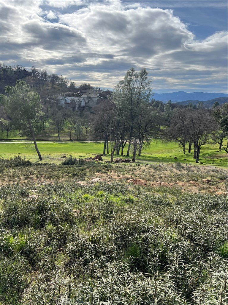 20073 Powder Horn Road Hidden Valley Lake, CA 95467 - Photo 12 of 15 a view of a park with large trees