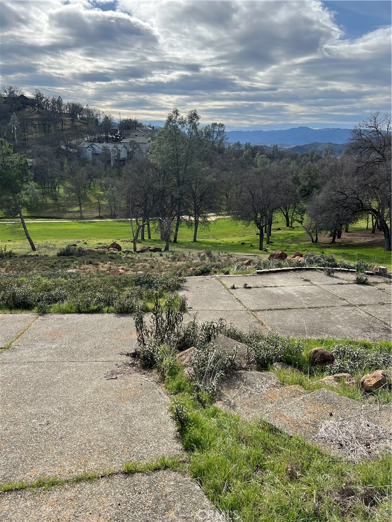 20073 Powder Horn Road Hidden Valley Lake, CA 95467 - Photo 6 of 15 a view of a dry yard with trees