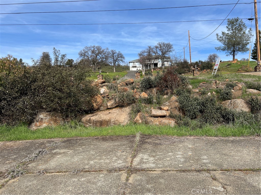 20073 Powder Horn Road Hidden Valley Lake, CA 95467 - Photo 7 of 11 a view of a yard with a street
