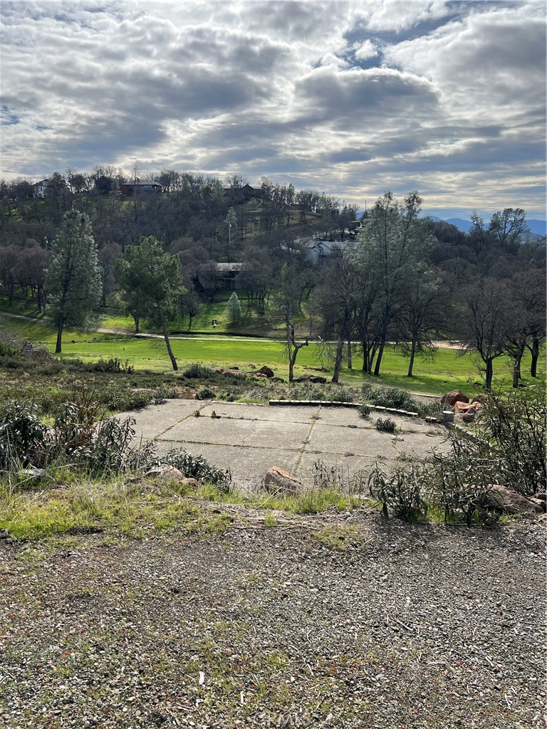 20073 Powder Horn Road Hidden Valley Lake, CA 95467 - Photo 7 of 15 a view of a park with large trees