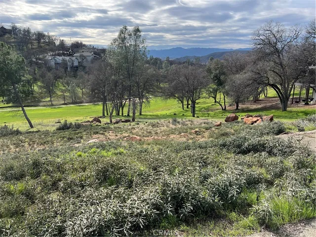 a view of a park with large trees