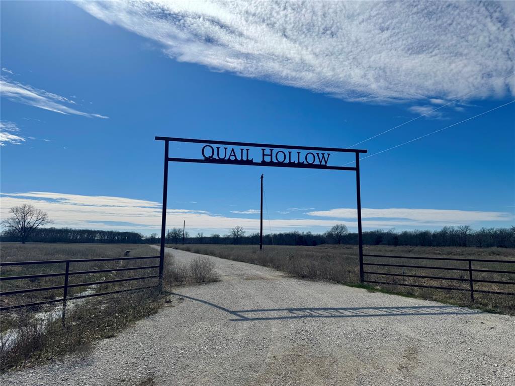 View of road featuring driveway, a gated entry, and a rural view