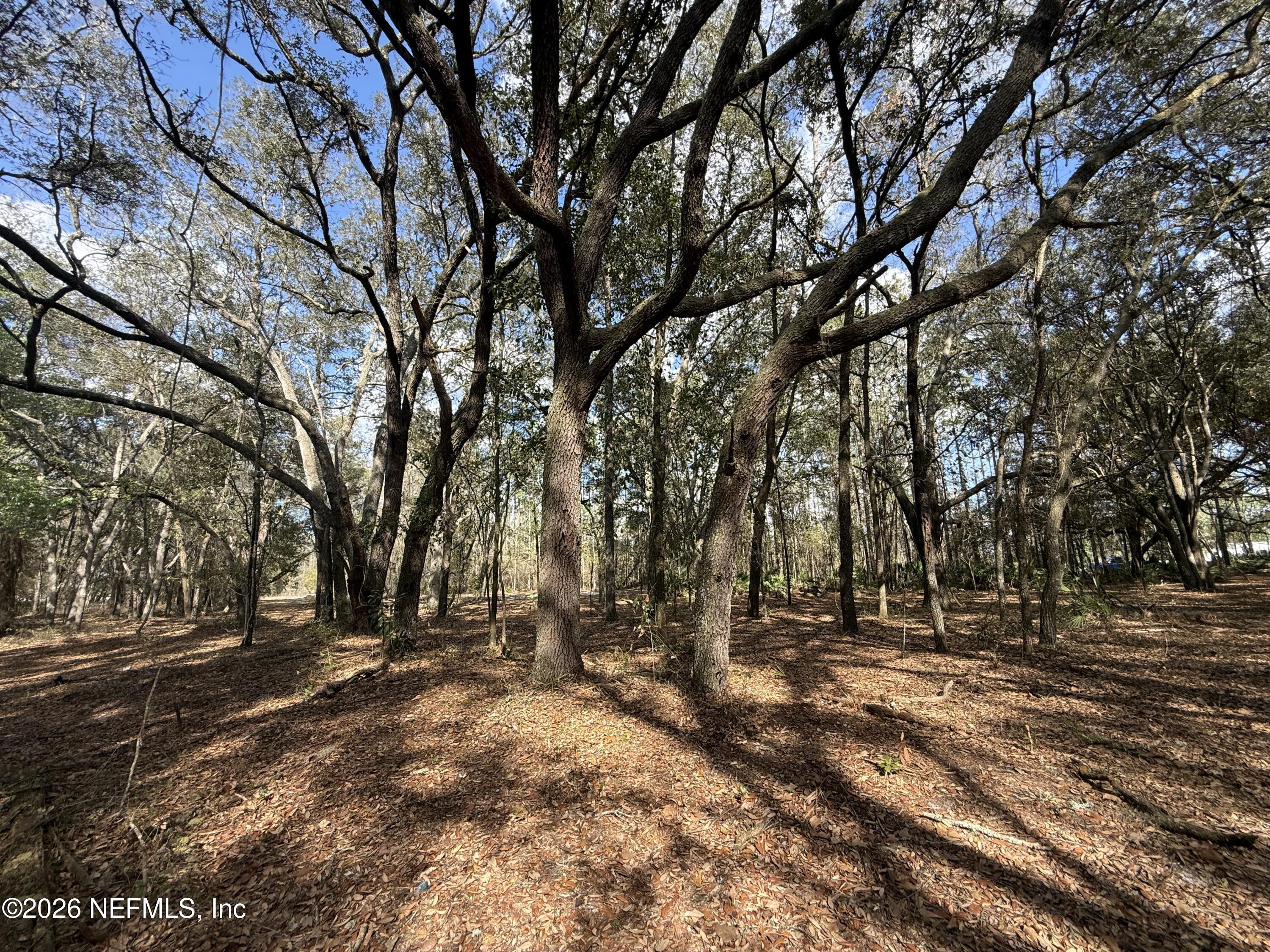 9094 Southeast 50th Avenue Hampton, FL 32044 - Photo 3 of 17 a view of outdoor space with trees