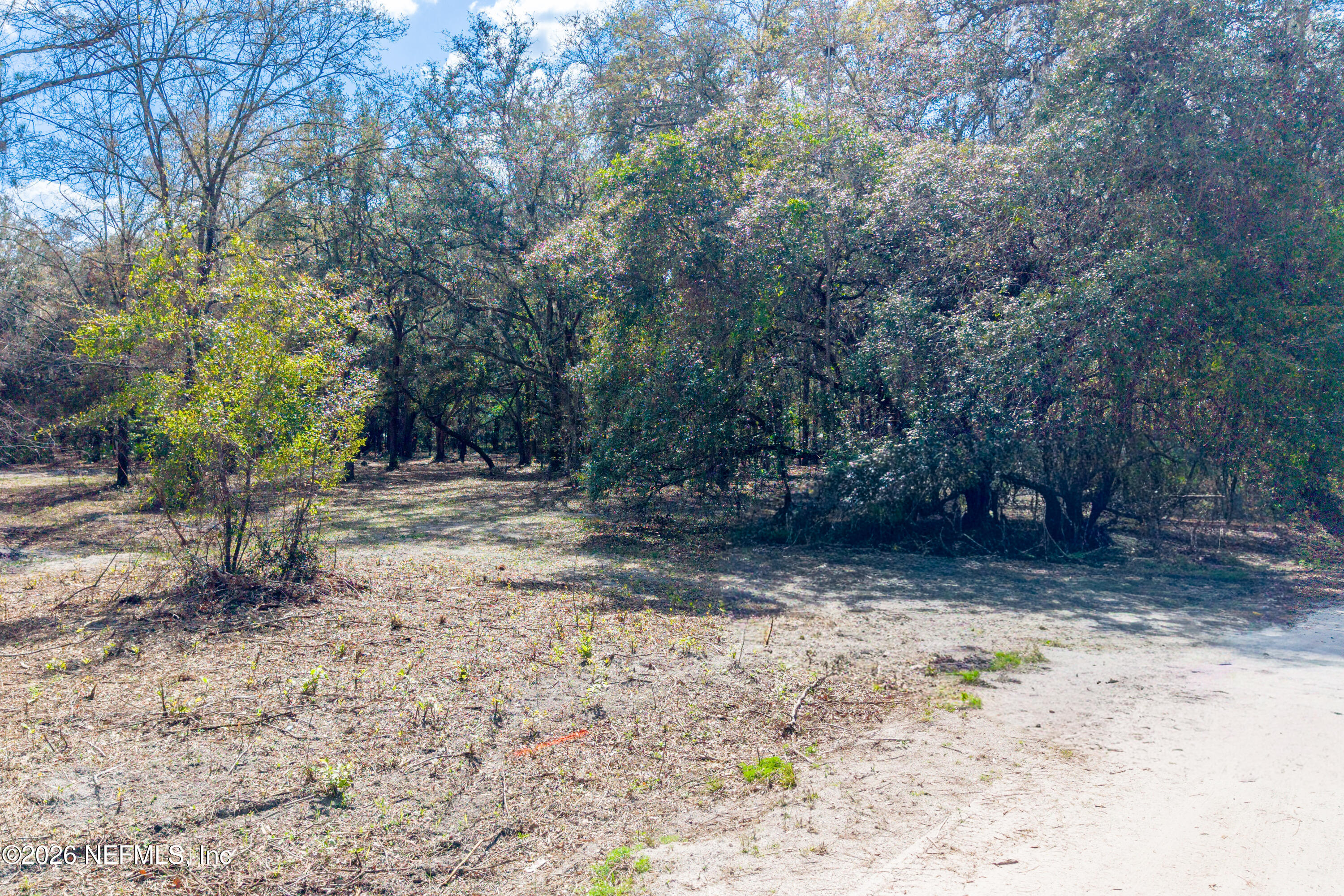 9094 Southeast 50th Avenue Hampton, FL 32044 - Photo 4 of 17 a view of a yard with a tree