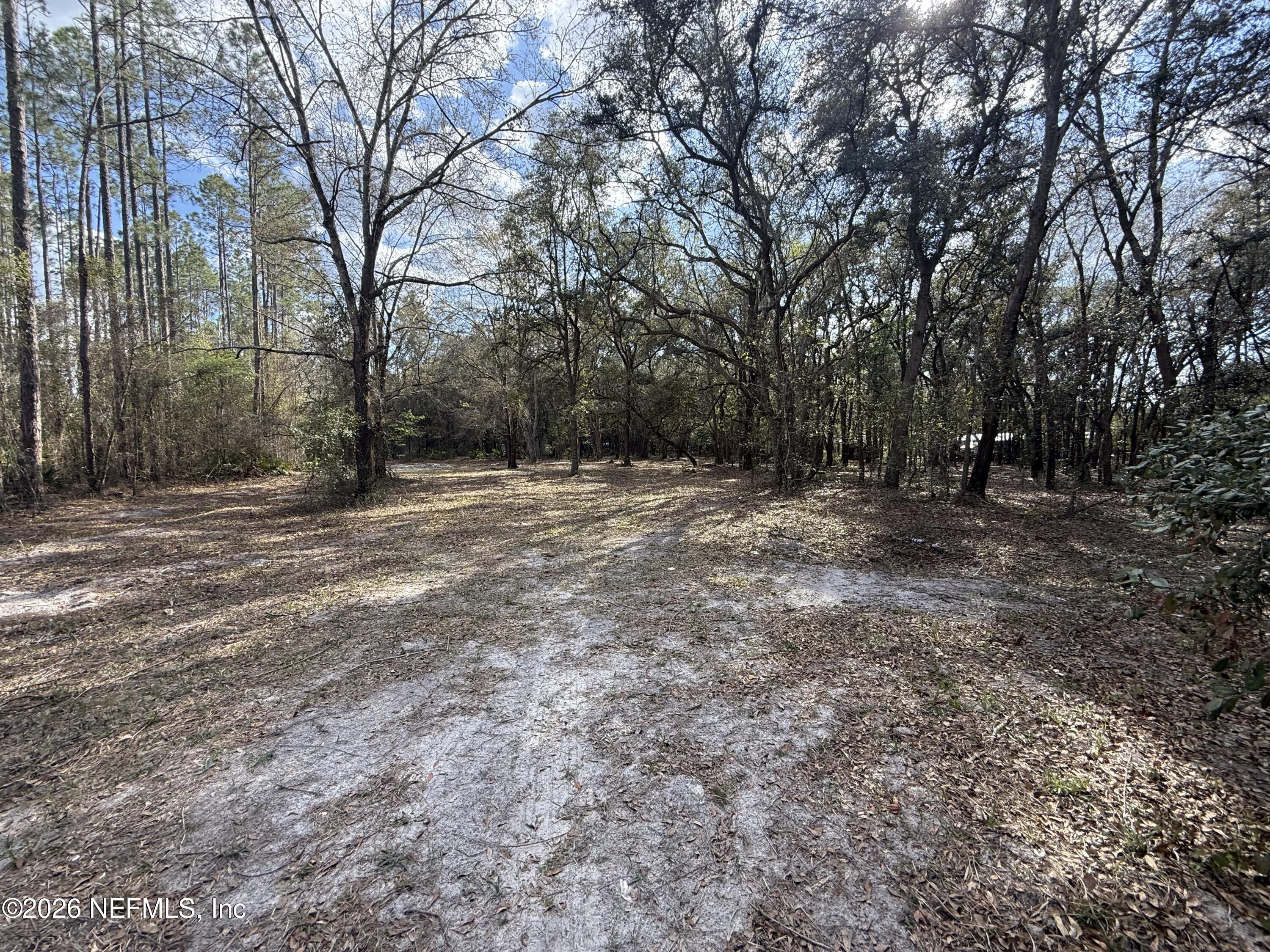 9094 Southeast 50th Avenue Hampton, FL 32044 - Photo 5 of 17 a view of outdoor space with trees