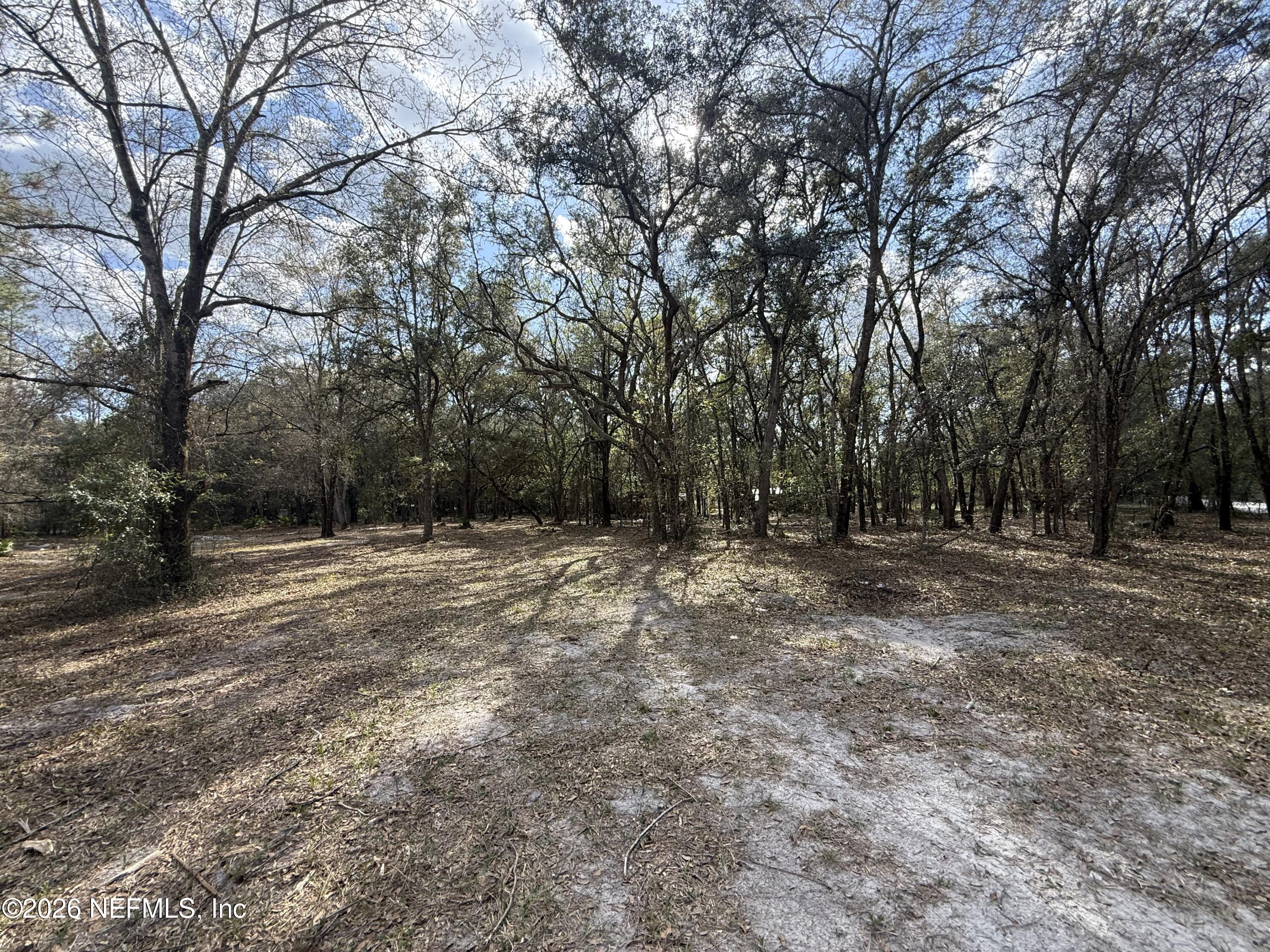 9094 Southeast 50th Avenue Hampton, FL 32044 - Photo 6 of 17 a view of outdoor space with trees