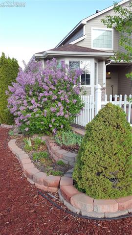 7720 Midnight Road Peyton, CO 80831 - Photo 15 of 20