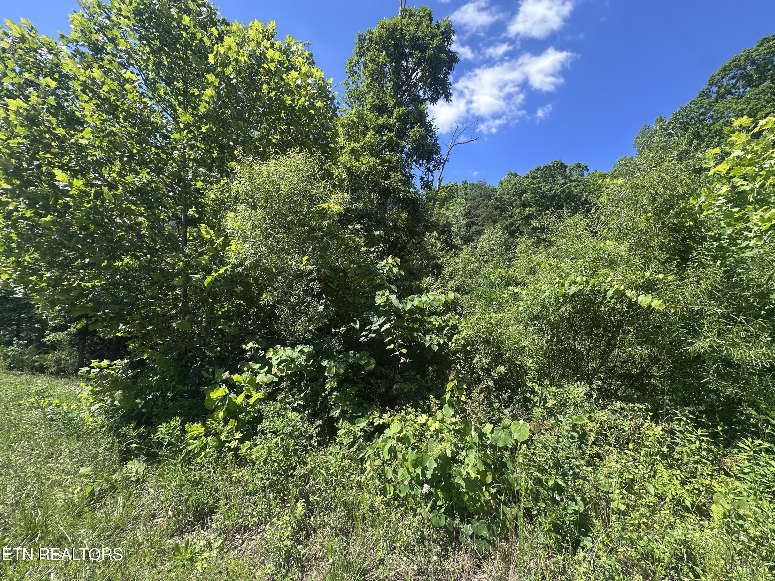 1020 Tomahawk Road Jamestown, TN 38556 - Photo 2 of 19 IMG_0012