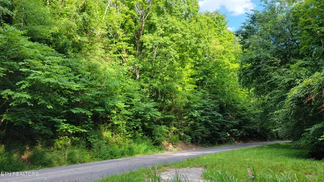 $22,000 | Lakeshore Drive, Newport, TN 37821