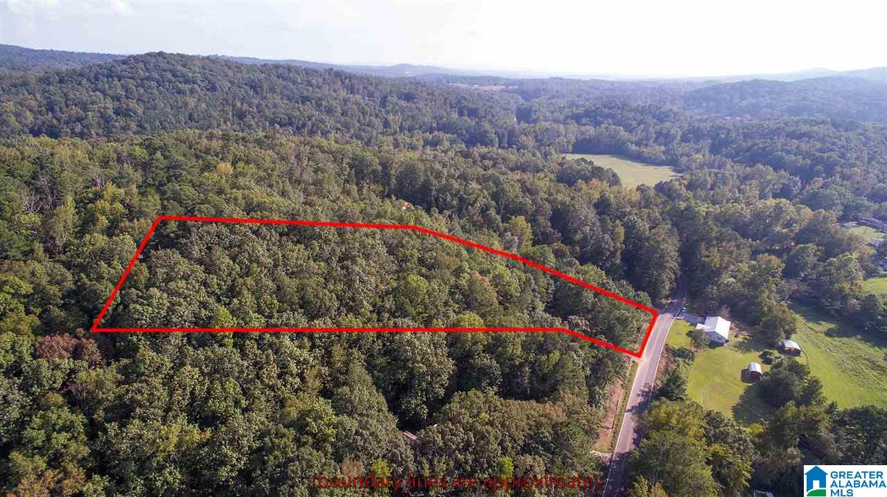 7132 Goodner Mountain Road Pinson, AL 35126 - Photo 9 of 14