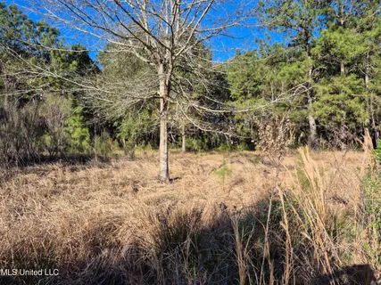 $10,000 | 16th Street, Bay St. Louis, MS 39520