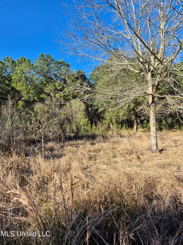 $10,000 | 16th Street, Bay St. Louis, MS 39520