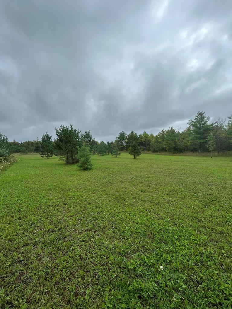 Tbd Little Lane Ellison Bay, WI 54210 - Photo 2 of 19