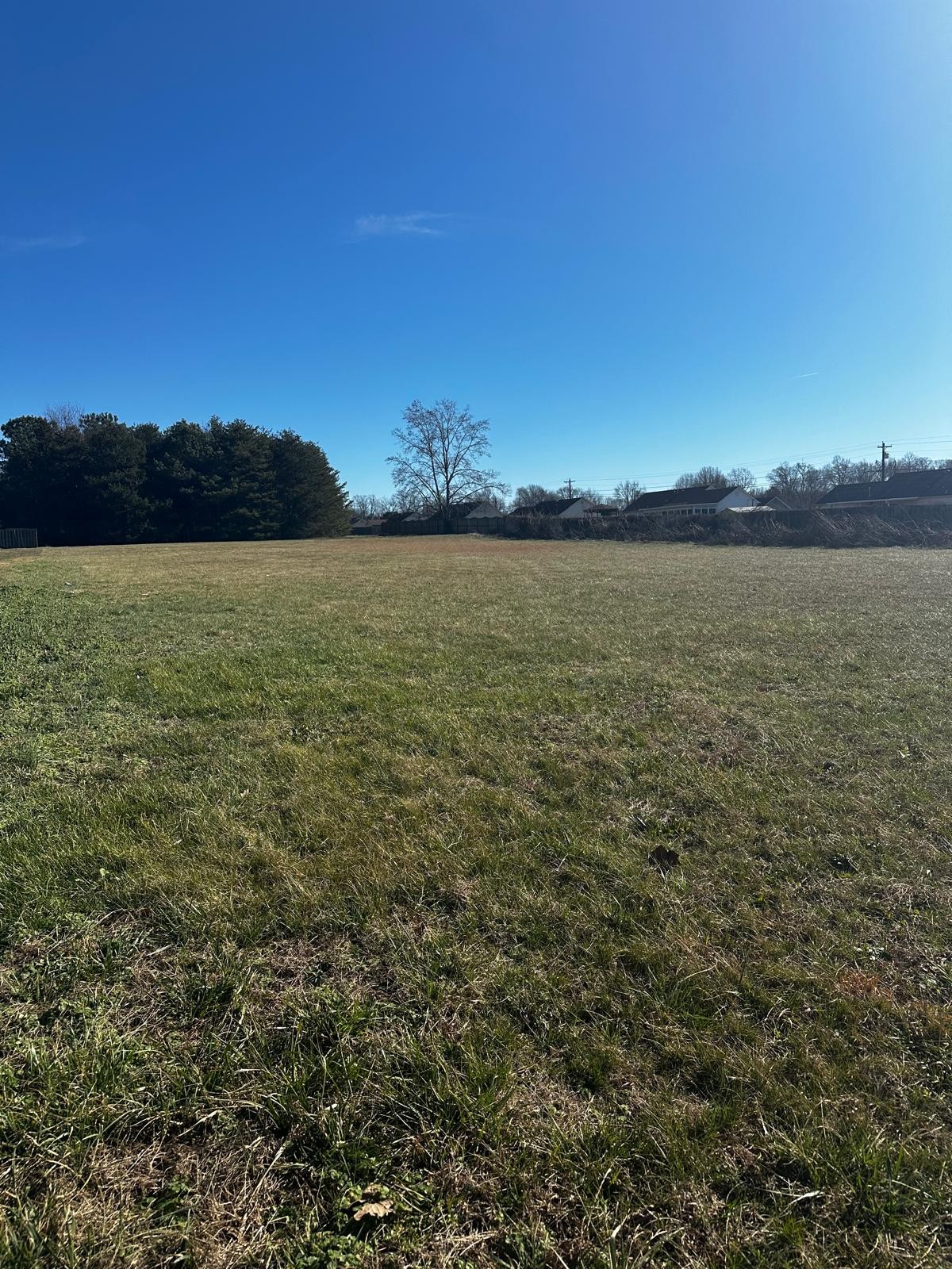 3138 Christmasville Road Jackson, TN 38305 - Photo 3 of 9