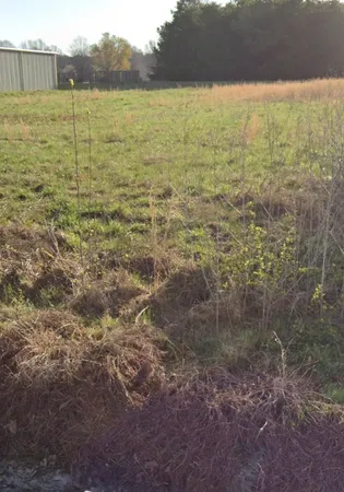 a view of an ocean beach