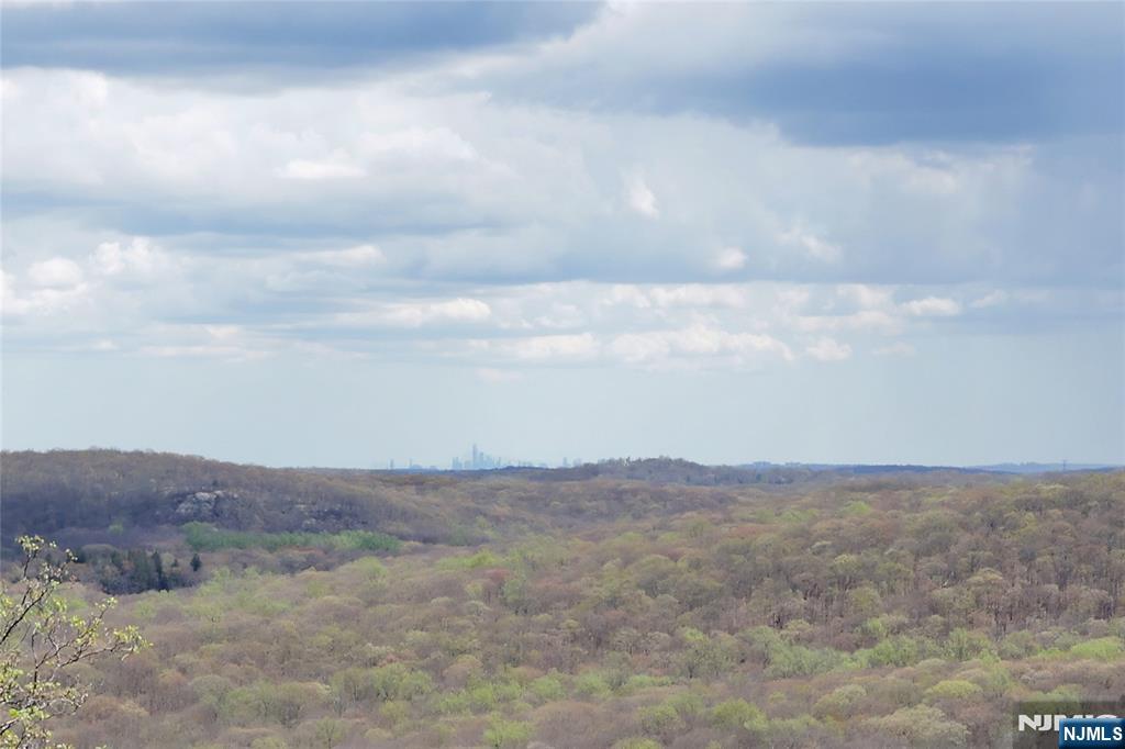 6 Copperas Ridge Road Newfoundland, NJ 07435 - Photo 40 of 50