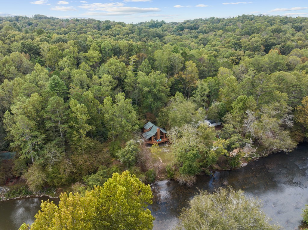 96 Holiday Court Ellijay, GA 30540 - Photo 2 of 51 a view of a forest with a houses