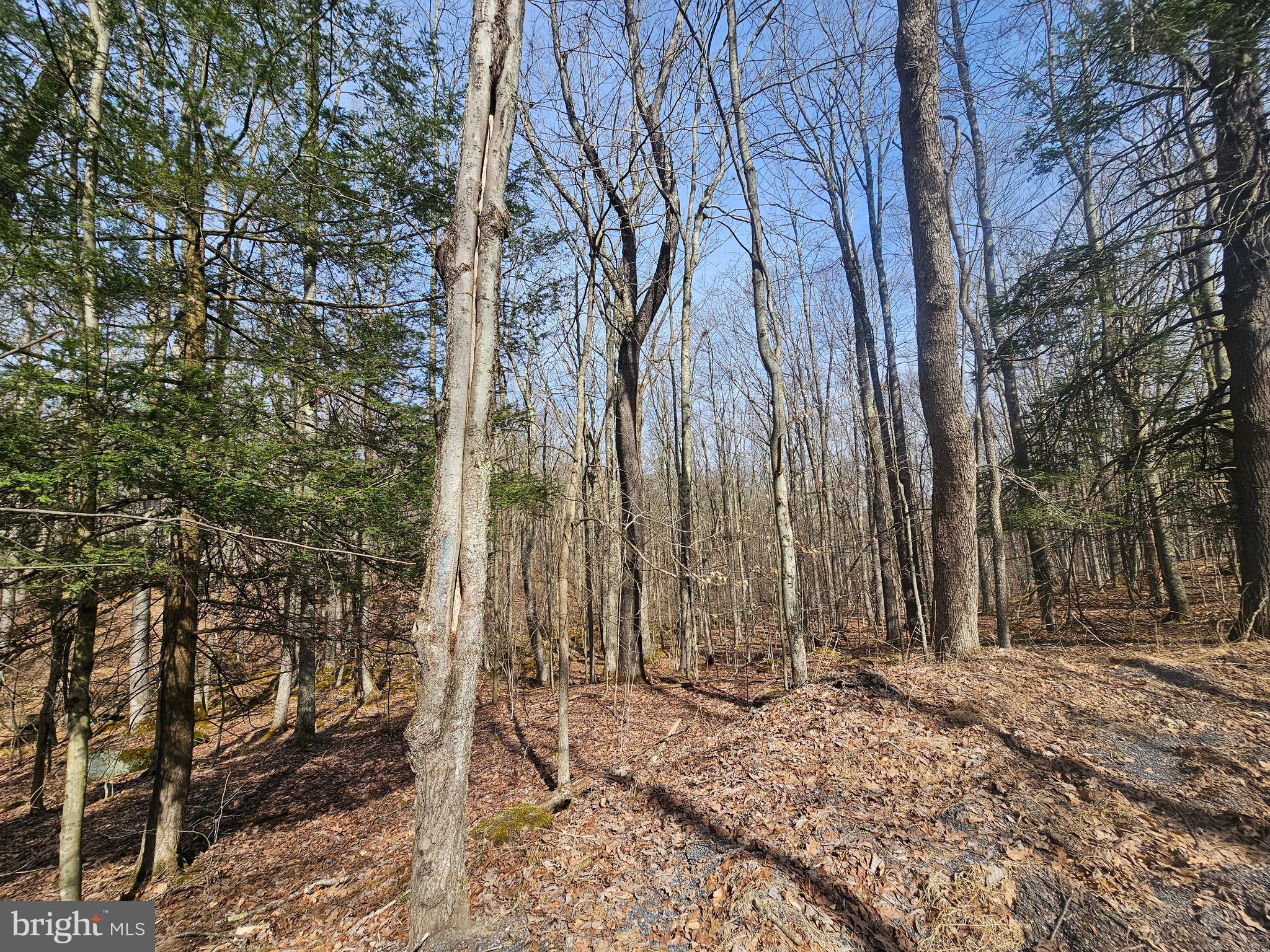 355 Lonesome Pine Road Oakland, MD 21550 - Photo 36 of 70