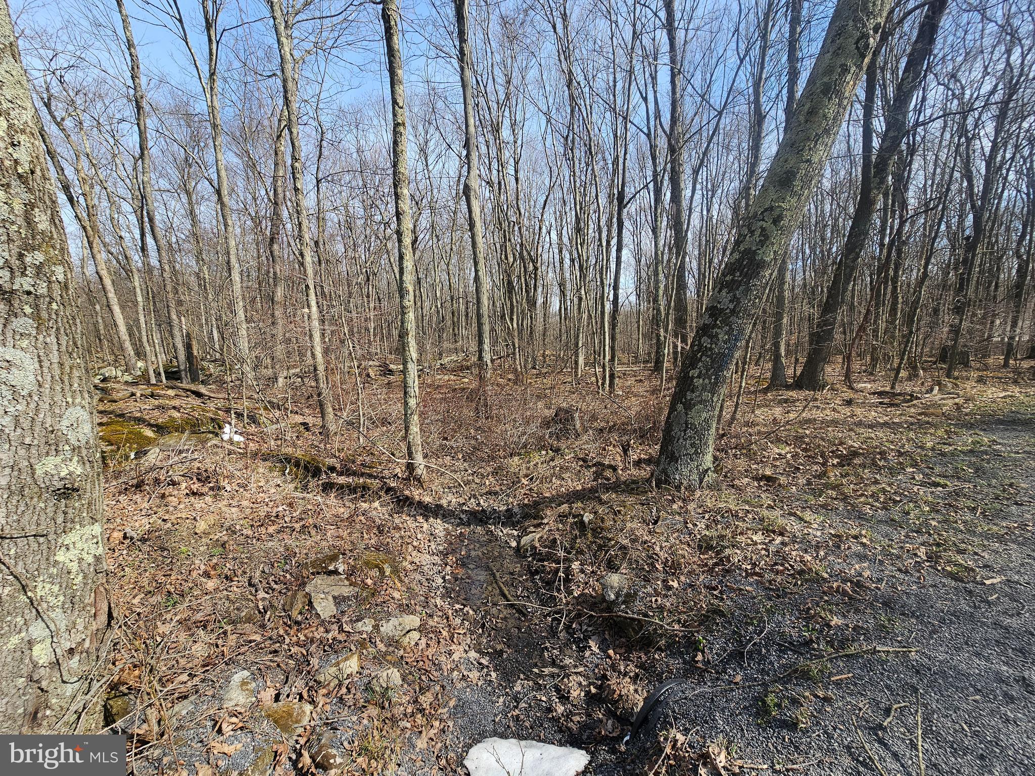 355 Lonesome Pine Road Oakland, MD 21550 - Photo 38 of 70