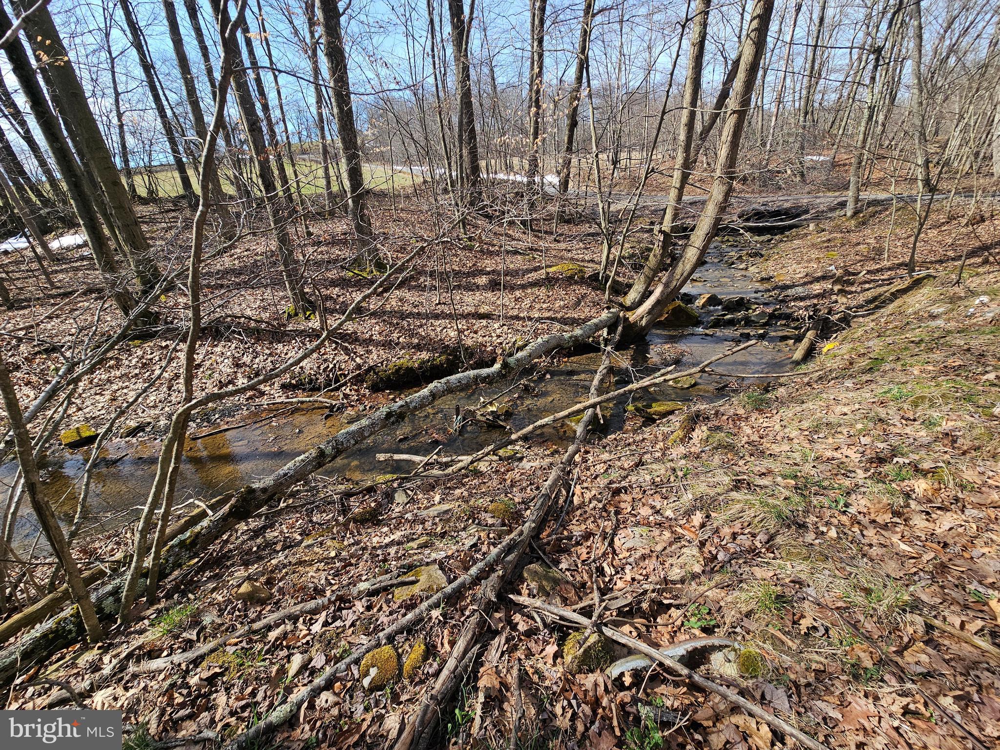 355 Lonesome Pine Road Oakland, MD 21550 - Photo 39 of 70