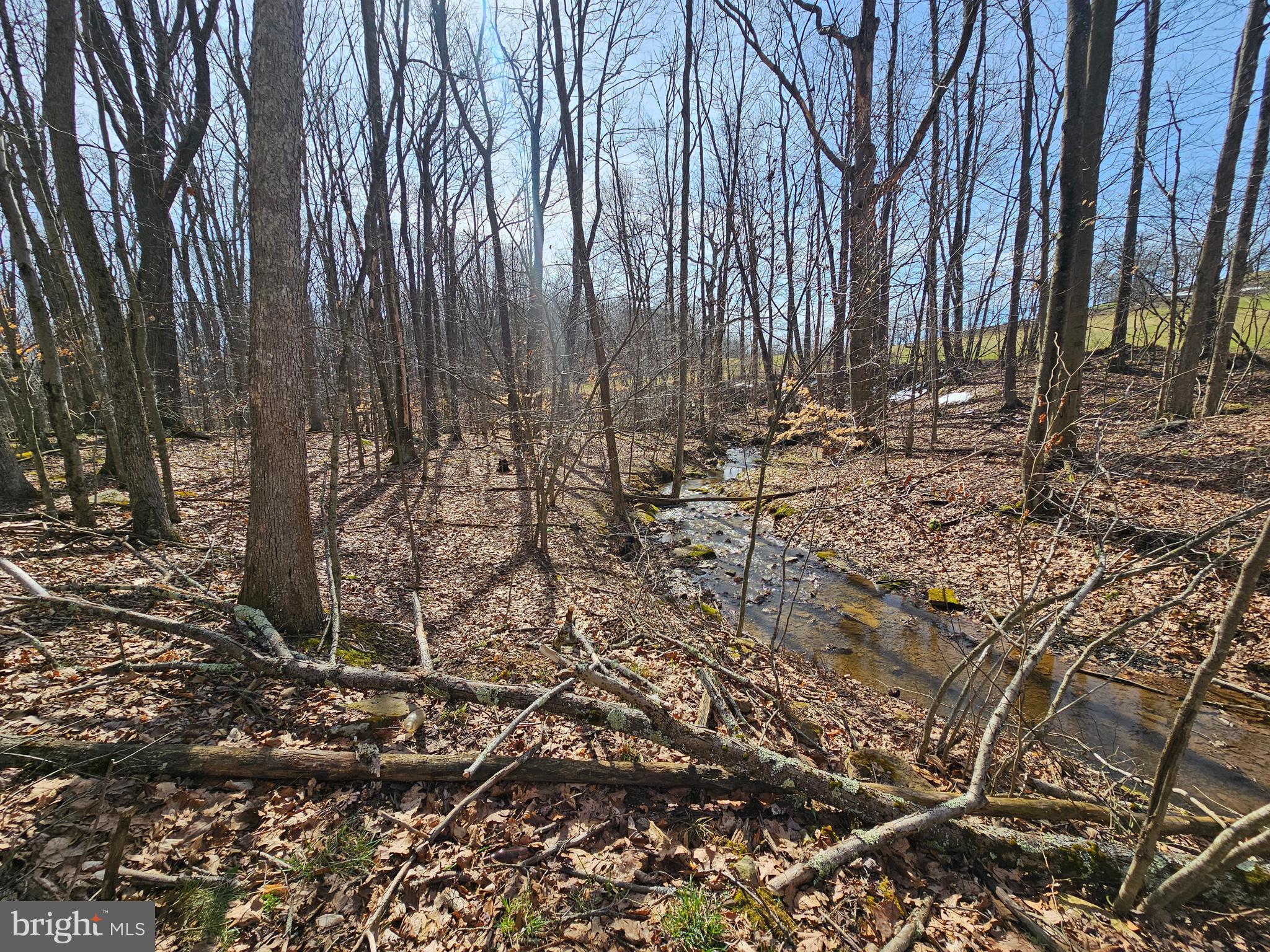 355 Lonesome Pine Road Oakland, MD 21550 - Photo 40 of 70
