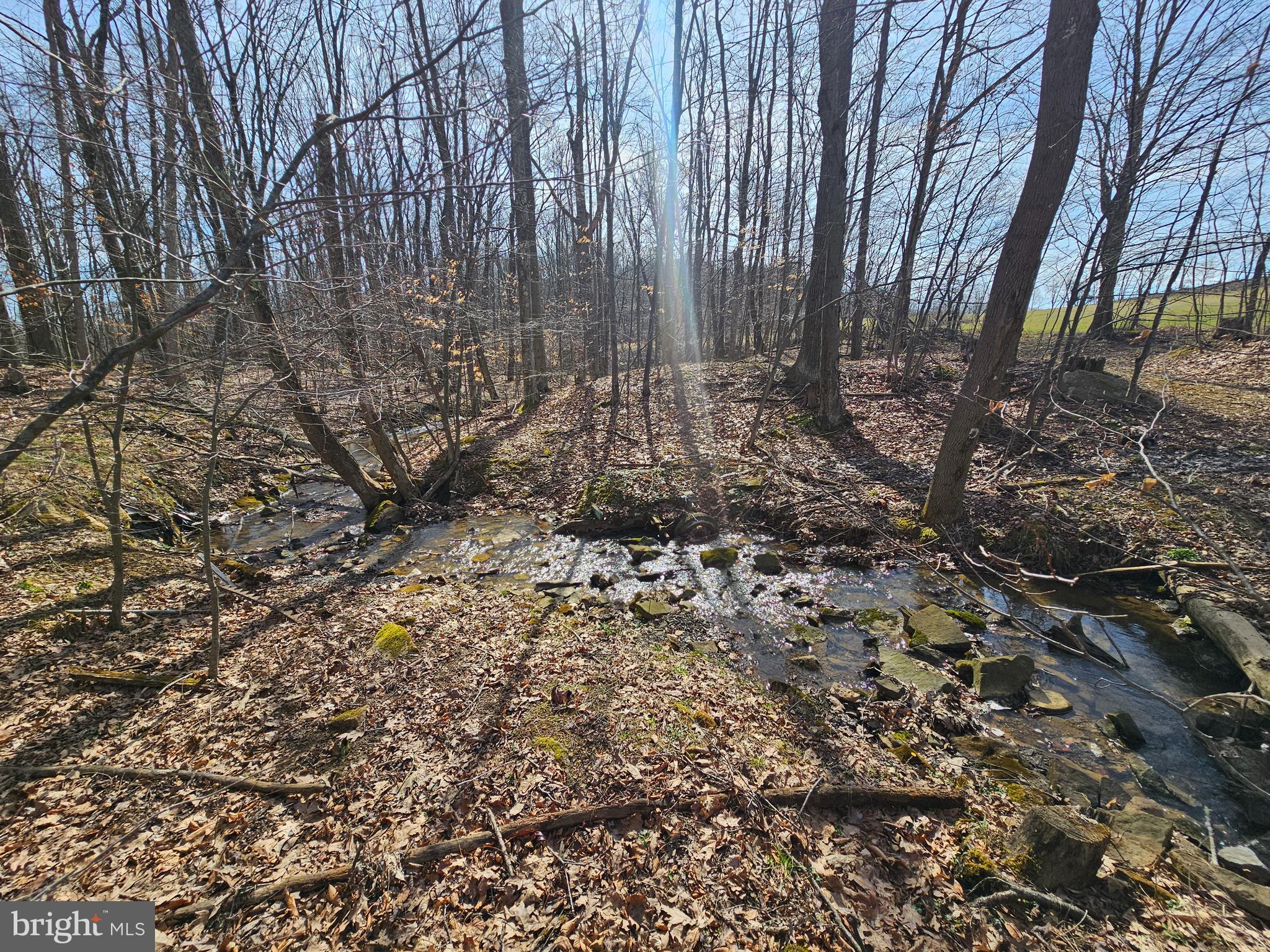 355 Lonesome Pine Road Oakland, MD 21550 - Photo 42 of 70 The river
