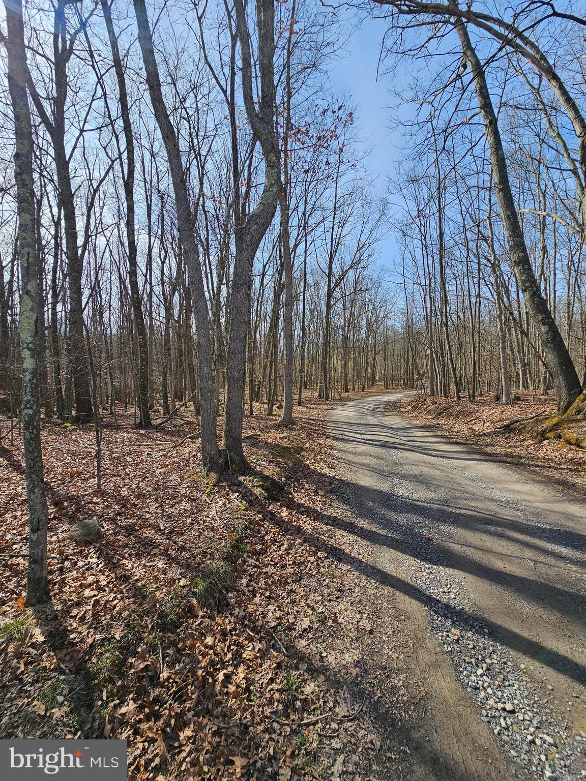 355 Lonesome Pine Road Oakland, MD 21550 - Photo 43 of 70