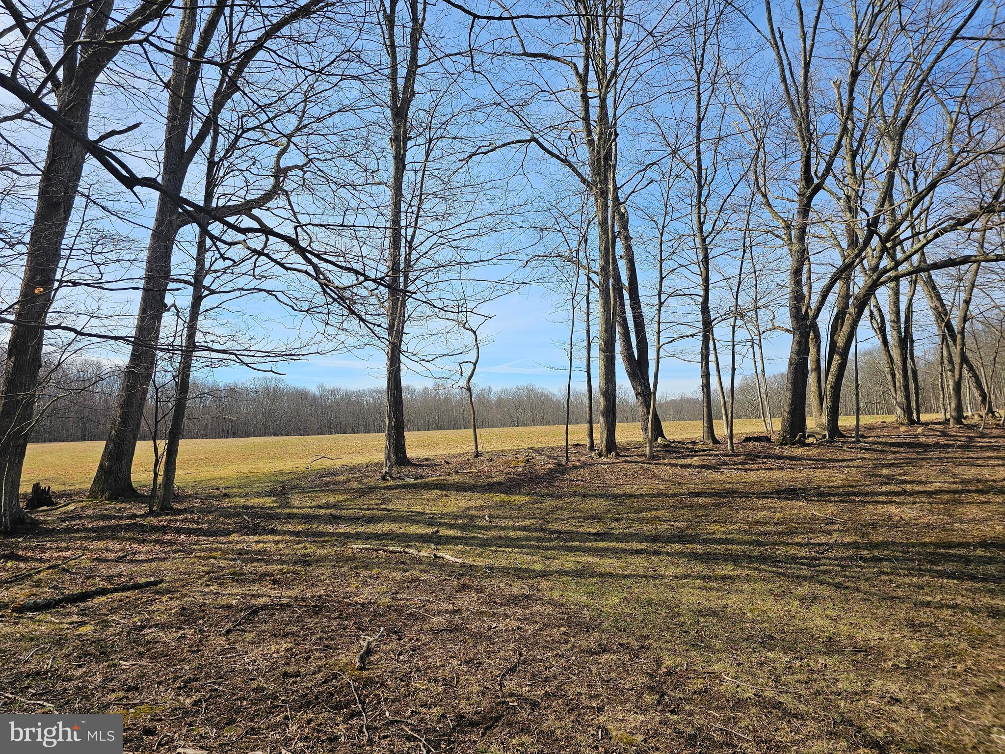 355 Lonesome Pine Road Oakland, MD 21550 - Photo 44 of 70