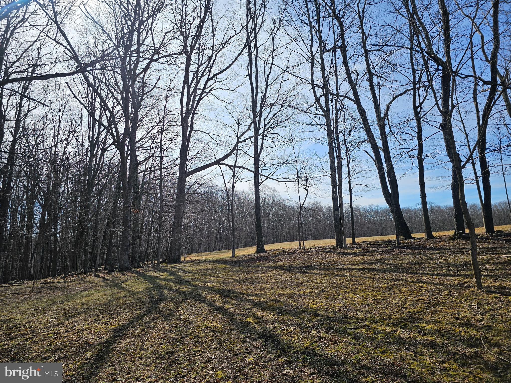 355 Lonesome Pine Road Oakland, MD 21550 - Photo 45 of 70