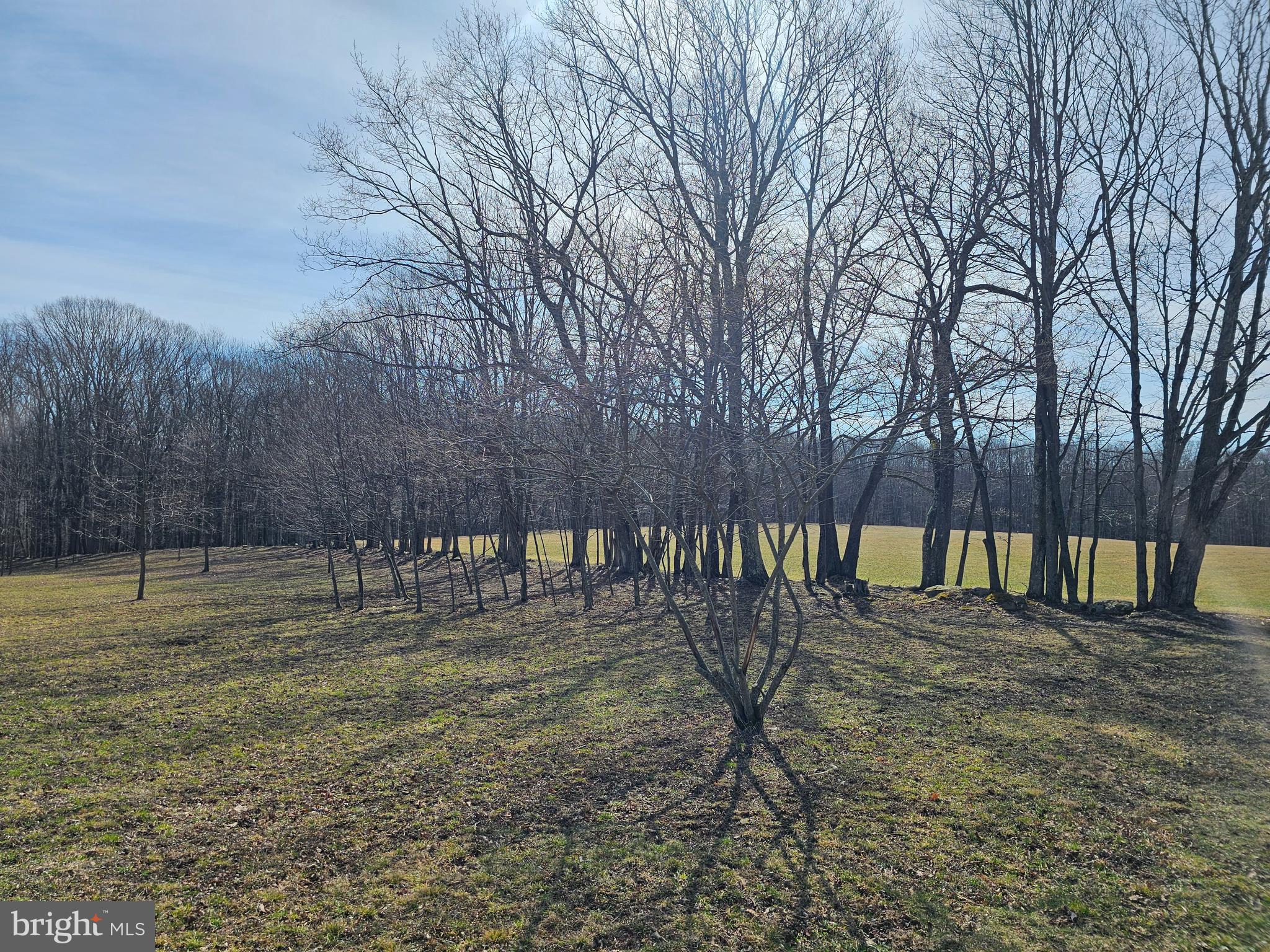 355 Lonesome Pine Road Oakland, MD 21550 - Photo 46 of 70
