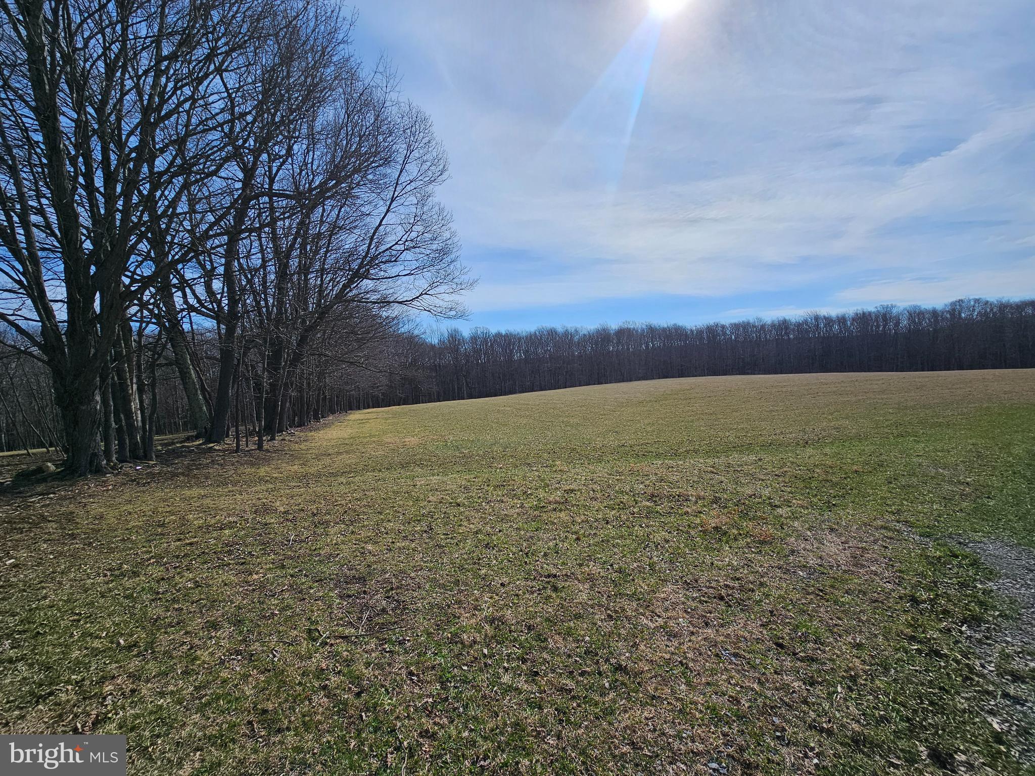 355 Lonesome Pine Road Oakland, MD 21550 - Photo 47 of 70 Some cleared