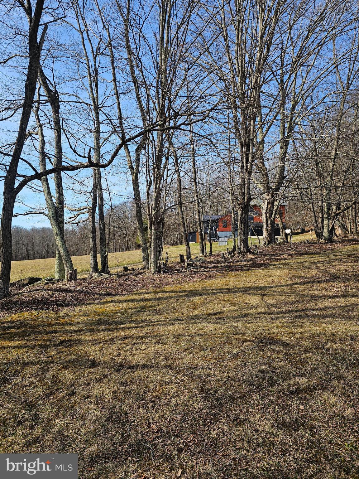 355 Lonesome Pine Road Oakland, MD 21550 - Photo 48 of 70