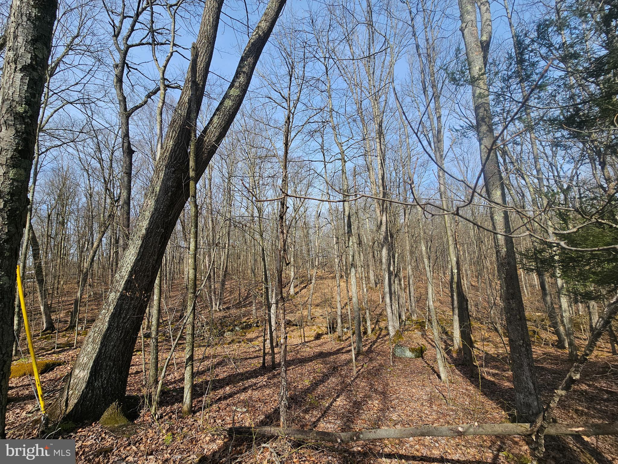 355 Lonesome Pine Road Oakland, MD 21550 - Photo 50 of 70