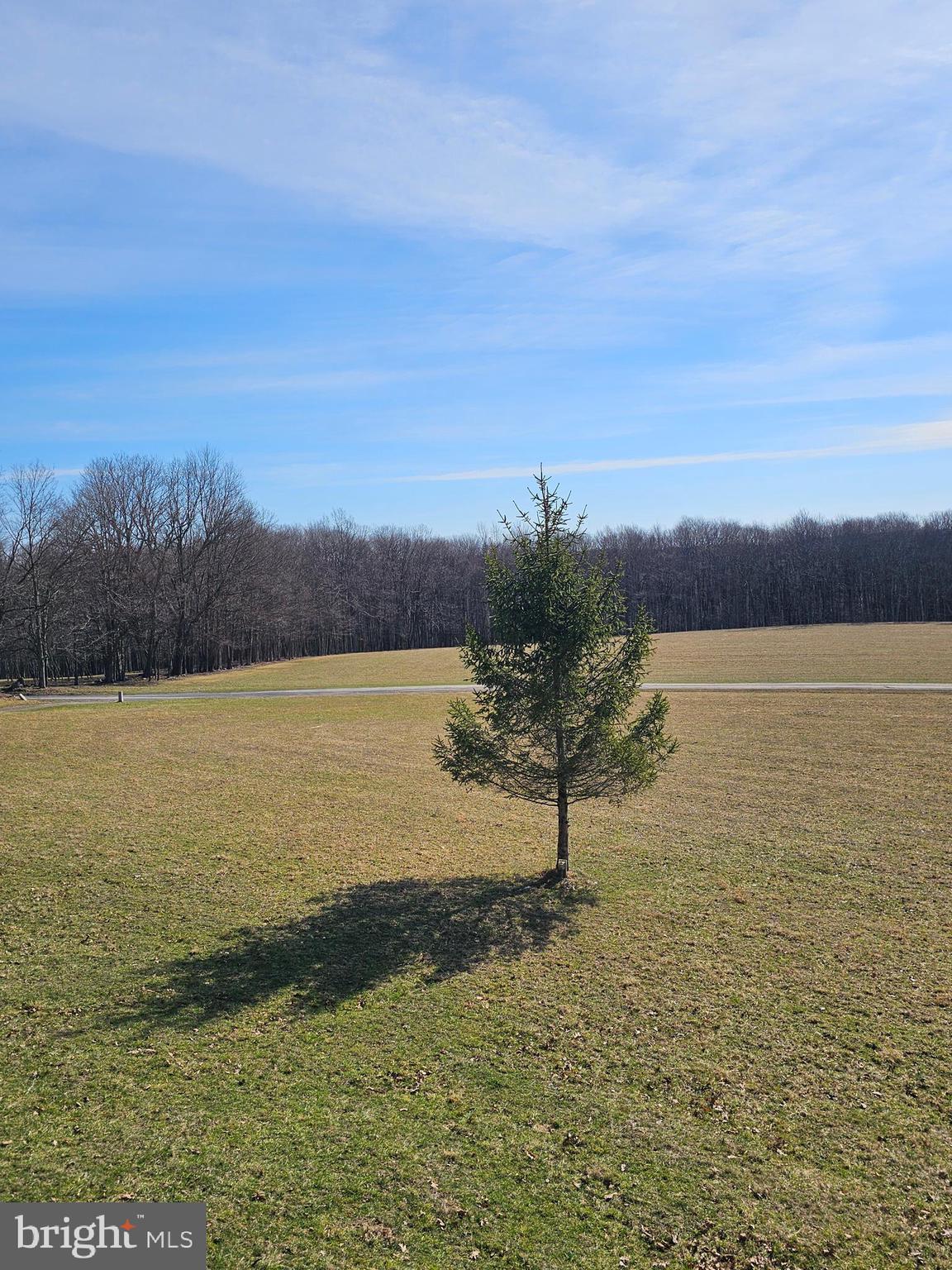 355 Lonesome Pine Road Oakland, MD 21550 - Photo 64 of 70 more views