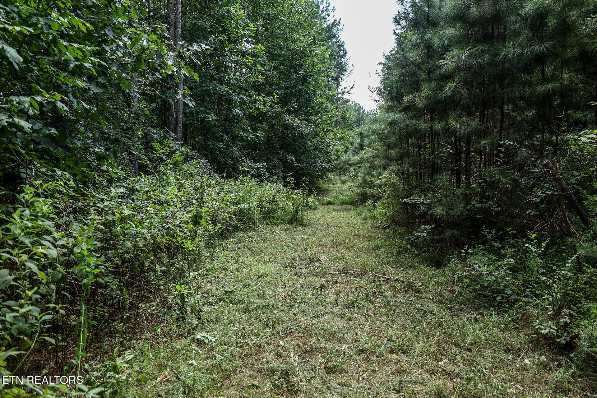 9 Flatwoods Road Philadelphia, TN 37846 - Photo 23 of 33 Flatwoods 23